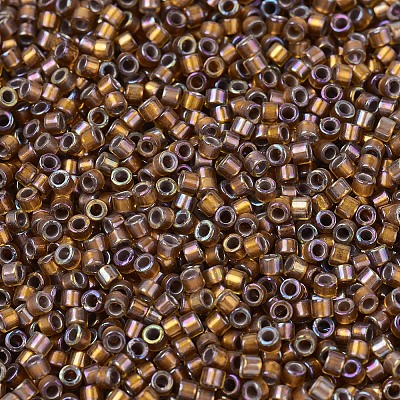 MIYUKI Delica Beads X-SEED-J020-DB1691-1