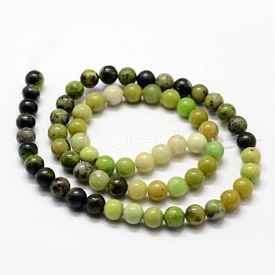 Natural Serpentine Beads Strands G-N0170-002-10mm-1