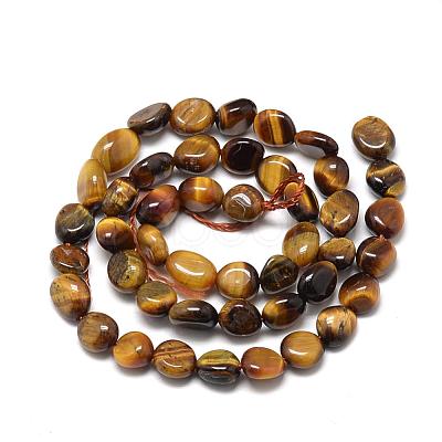 Natural Tiger Eye Beads Strands G-R445-8x10-05-1