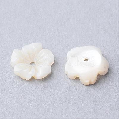 Natural Sea Shell Beads SSHEL-S250-14-1