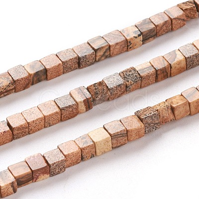 Natural Picture Jasper Beads Strands G-F631-K02-1