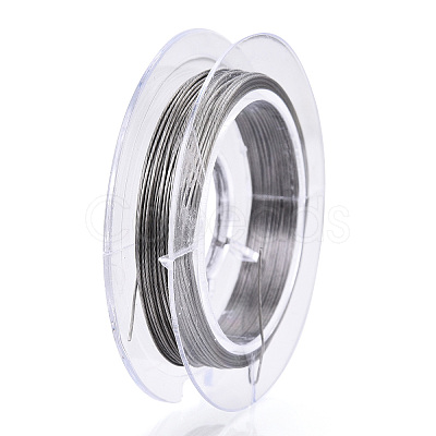 Tarnish Resistant 201 Stainless Steel Wire TWIR-Q003-0.38mm-01-1