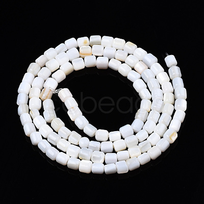 Natural Freshwater Shell Beads Strands SHEL-N034-29B-01-1