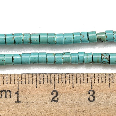 Natural Turquoise Beads Strands G-C084-D10-02-1