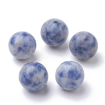 Natural Blue Spot Jasper Beads G-S289-15-10mm-1