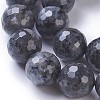 Natural Labradorite Beads Strands G-P428-9B-14mm-3