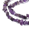Natural Amethyst Chip Beads Strands G-YW0002-09-4