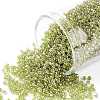 TOHO Round Seed Beads SEED-TR15-0457-1