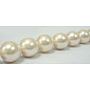 Shell Pearl Beads Strands SP10MM205-2