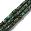 Natural African Turquoise(Jasper) Beads Strands G-C084-D03-01-1