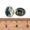 Natural Paua Shell Epoxy Resin Cabochons SSHEL-S279-01G-3