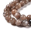 Natural Multi-Moonstone Beads Strands G-I247-14B-01-4