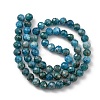 Natural Apatite Beads Strands G-G927-32-6MM-2