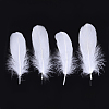Goose Feather Costume Accessories FIND-T037-04K-1