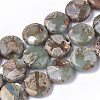 Natural Aqua Terra Jasper Beads Strands G-S366-014-1