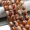 Natural Dragon Veins Agate Beads Strands G-A223-D11-01E-2