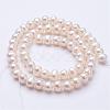 Natural Cultured Freshwater Pearl Beads Strands PEAR-F004-18-2