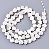 Natural Freshwater Shell Beads Strands SHEL-N026-50B-01-2