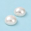 Shell Pearl Half Drilled Beads X-BSHE-G011-01-12mm-6