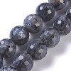 Natural Labradorite Beads Strands G-P428-9B-14mm-2