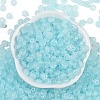 Transparent Colours Glass Seed Beads SEED-P008-01B-01-3