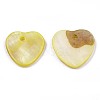 Natural Freshwater Shell Charms SHEL-R113-17J-2