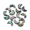 Natural Abalone Shell/Paua Shell Beads SSHEL-M021-08-1