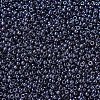 MIYUKI Round Rocailles Beads SEED-JP0008-RR0171-3