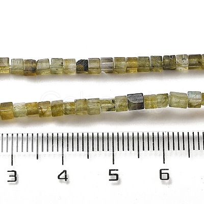 Natural Labradorite Beads Strands G-B064-A32-1