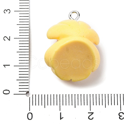 Opaque Resin Pendants RESI-P043-01P-03-1