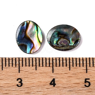 Natural Paua Shell Epoxy Resin Cabochons SSHEL-S279-01G-1