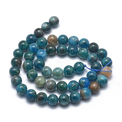 Natural Apatite Beads Strands G-I254-08C-1