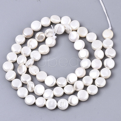 Natural Freshwater Shell Beads Strands SHEL-N026-50B-01-1