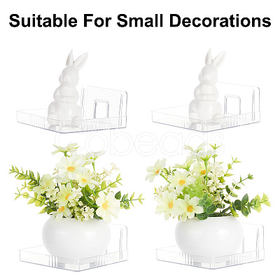 Transparent PET Plastic Wall Mounted Display Stands ODIS-WH0025-141-1