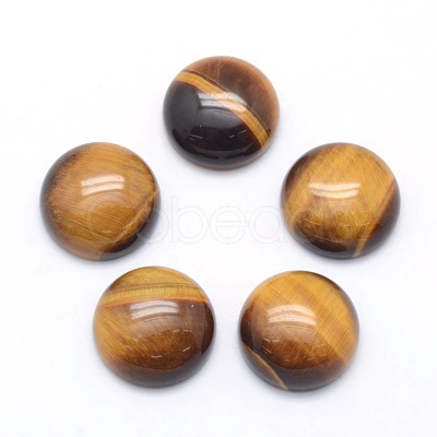 Natural Tiger Eye Cabochons X-G-P393-R12-12mm-1