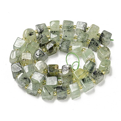 Natural Prehnite Beads Strands G-G053-B12-01C-1