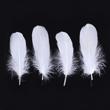 Goose Feather Costume Accessories FIND-T037-04K-1
