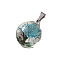 Dried Flower Glass Pendants, Flat Round, Deep Sky Blue, 32x20mm, 5pcs/set