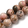 Natural Rhodonite Beads Strands G-R494-A12-04-1