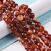 Natural Dyed Fire Crackle Agate Beads Strands G-C023-08B-2
