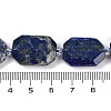 Natural Lapis Lazuli Beads Strands G-B125-P11-01-4