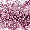 8/0 Glass Seed Beads SEED-A017-3mm-1110-1