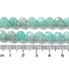 Natural Amazonite Beads Strands G-J400-E11-07A-5