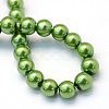 Baking Painted Pearlized Glass Pearl Round Bead Strands X-HY-Q330-8mm-13-4