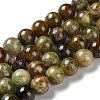 Natural Green Garnet Beads Strands G-Z034-B14-02-1
