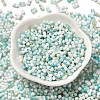 Baking Paint Glass Seed Beads SEED-F005-01A-01-2