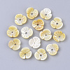 Yellow Shell Beads SSHEL-S251-39-1