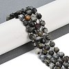 Natural Eagle Eye Stone Beads Strands G-O201B-124G-1