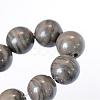 Natural Black Wood Lace Stone Round Bead Strands G-E334-10mm-03-4