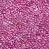 Glass Seed Beads SEED-M011-01A-21-3